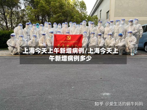 上海今天上午新增病例/上海今天上午新增病例多少-第2张图片