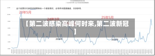 【第二波感染高峰何时来,第二波新冠】