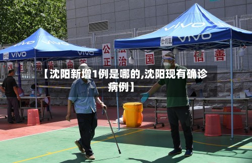 【沈阳新增1例是哪的,沈阳现有确诊病例】-第2张图片