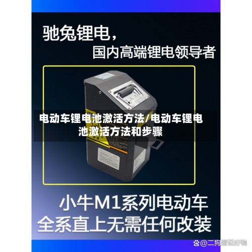 电动车锂电池激活方法/电动车锂电池激活方法和步骤-第2张图片