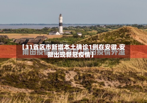 【31省区市新增本土确诊1例在安徽,安徽出现新冠疫情】