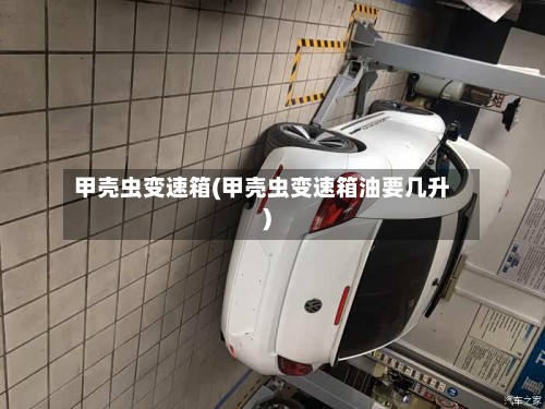 甲壳虫变速箱(甲壳虫变速箱油要几升)