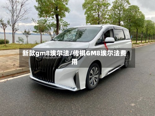 新款gm8埃尔法/传祺GM8埃尔法费用