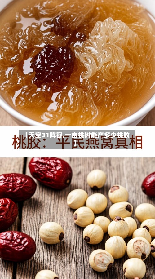 【天空31阵容,一亩桃树能产多少桃胶】-第2张图片