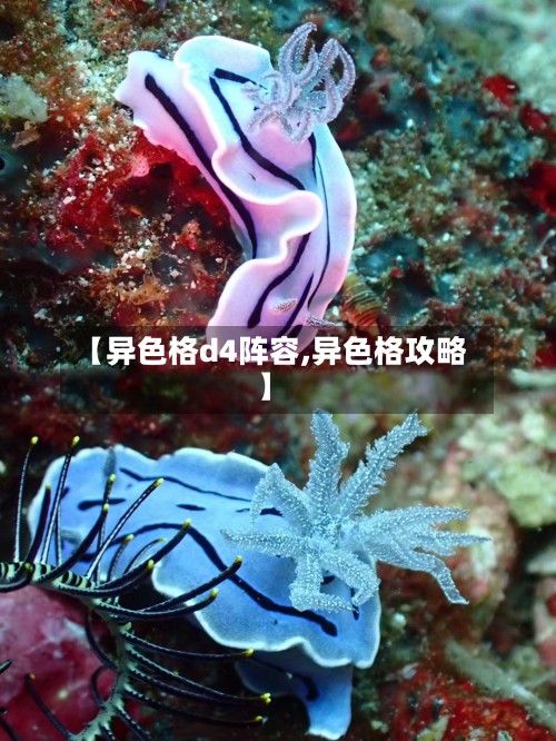 【异色格d4阵容,异色格攻略】