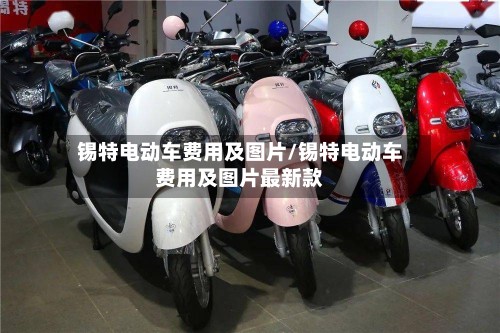 锡特电动车费用及图片/锡特电动车费用及图片最新款