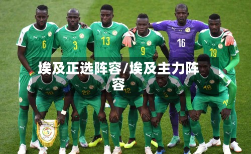 埃及正选阵容/埃及主力阵容-第2张图片