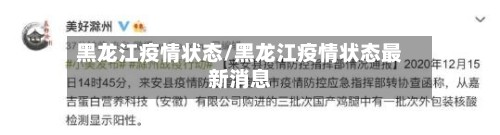 黑龙江疫情状态/黑龙江疫情状态最新消息-第2张图片