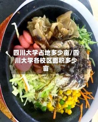 四川大学占地多少亩/四川大学各校区面积多少亩-第2张图片