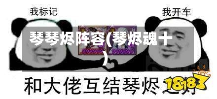 琴琴烬阵容(琴烬魂十)