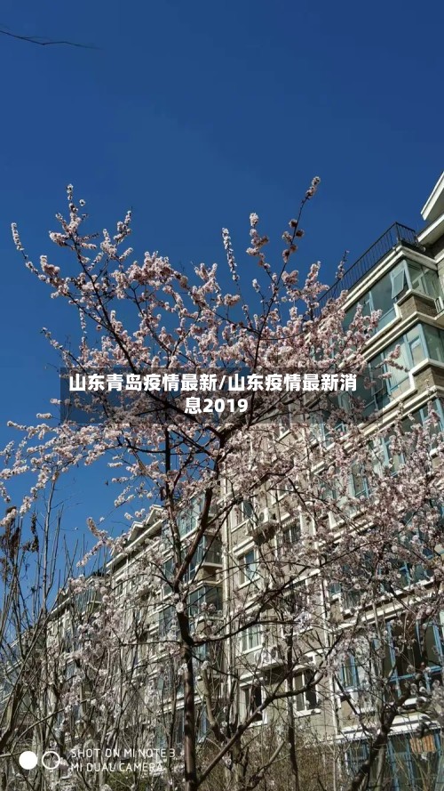 山东青岛疫情最新/山东疫情最新消息2019-第3张图片