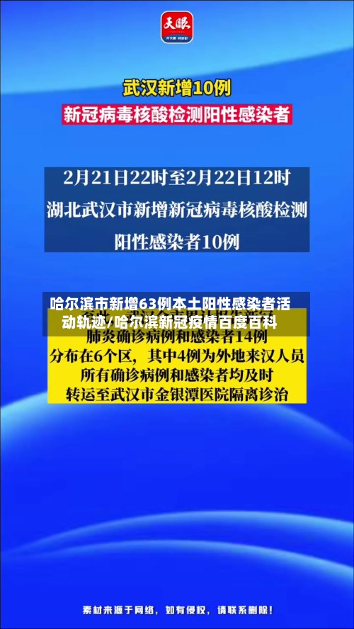 哈尔滨市新增63例本土阳性感染者活动轨迹/哈尔滨新冠疫情百度百科-第2张图片