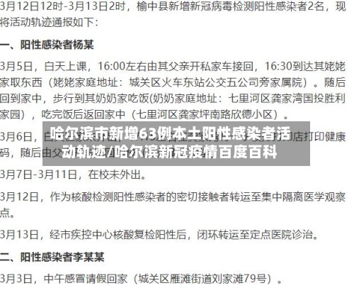 哈尔滨市新增63例本土阳性感染者活动轨迹/哈尔滨新冠疫情百度百科-第3张图片
