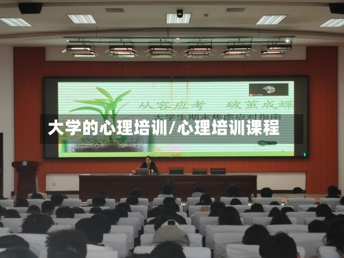 大学的心理培训/心理培训课程-第2张图片