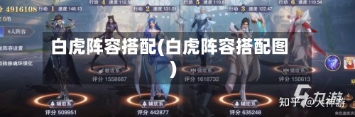 白虎阵容搭配(白虎阵容搭配图)-第2张图片