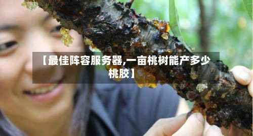 【最佳阵容服务器,一亩桃树能产多少桃胶】