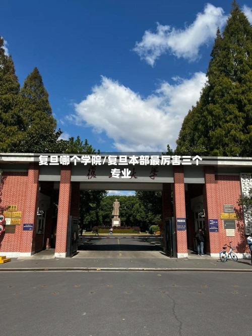 复旦哪个学院/复旦本部最厉害三个专业-第2张图片