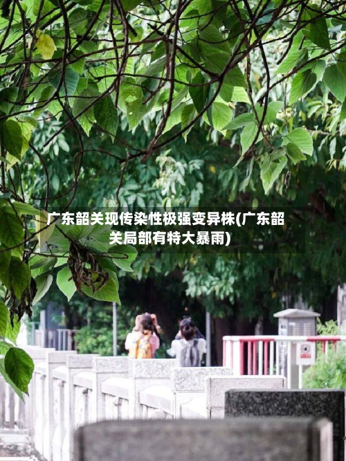 广东韶关现传染性极强变异株(广东韶关局部有特大暴雨)-第2张图片