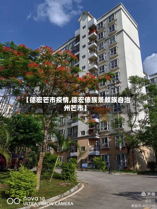 【德宏芒市疫情,德宏傣族景颇族自治州芒市】