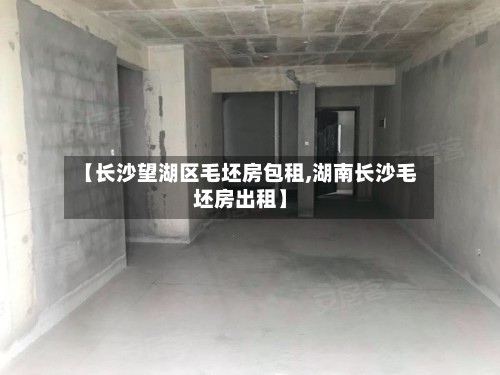 【长沙望湖区毛坯房包租,湖南长沙毛坯房出租】