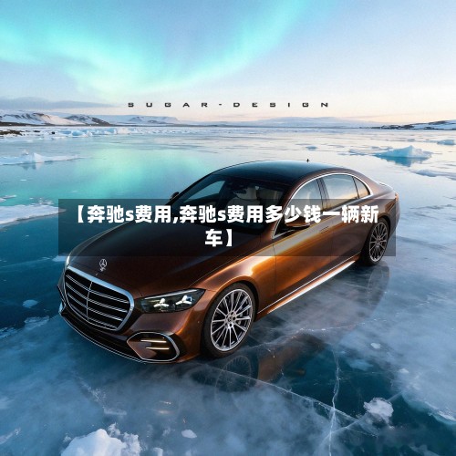 【奔驰s费用,奔驰s费用多少钱一辆新车】