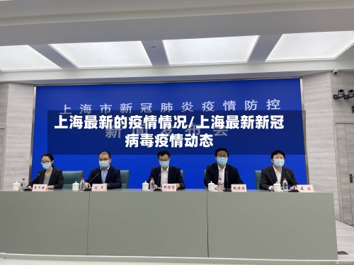 上海最新的疫情情况/上海最新新冠病毒疫情动态-第2张图片