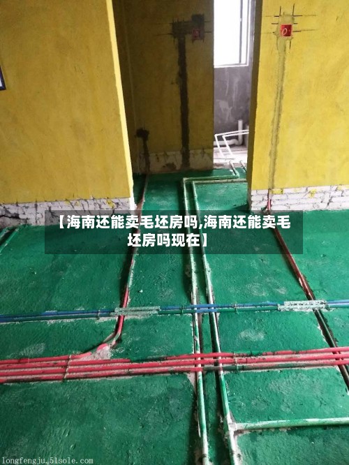 【海南还能卖毛坯房吗,海南还能卖毛坯房吗现在】