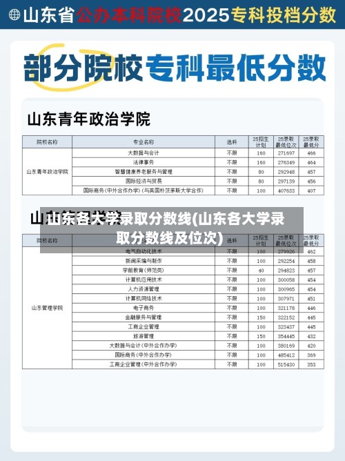 山东各大学录取分数线(山东各大学录取分数线及位次)