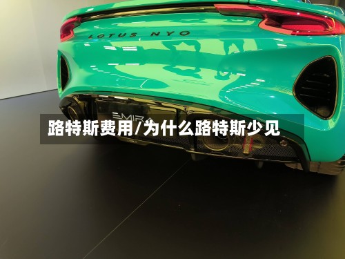 路特斯费用/为什么路特斯少见