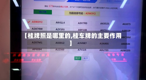 【桂牌照是哪里的,桂车牌的主要作用】