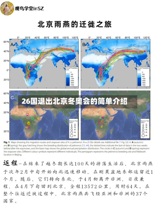 26国退出北京冬奥会的简单介绍-第2张图片