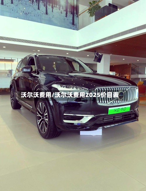 沃尔沃费用/沃尔沃费用2025价目表-第3张图片