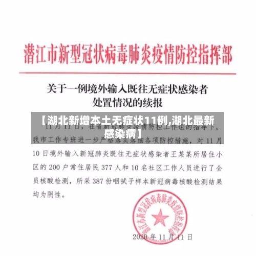 【湖北新增本土无症状11例,湖北最新感染病】