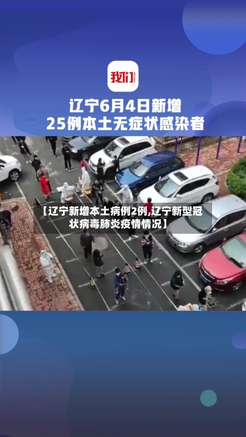 【辽宁新增本土病例2例,辽宁新型冠状病毒肺炎疫情情况】