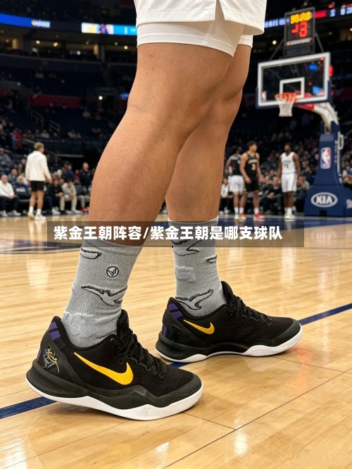 紫金王朝阵容/紫金王朝是哪支球队