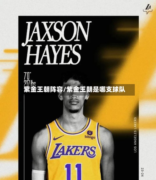 紫金王朝阵容/紫金王朝是哪支球队-第2张图片