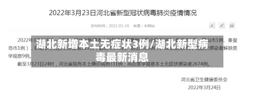 湖北新增本土无症状3例/湖北新型病毒最新消息-第3张图片