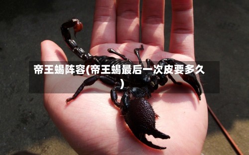 帝王蝎阵容(帝王蝎最后一次皮要多久)