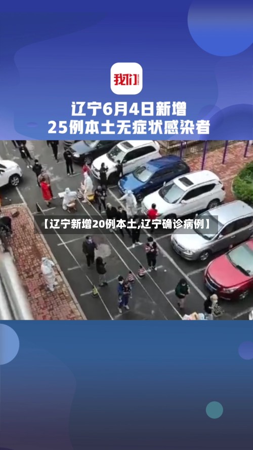 【辽宁新增20例本土,辽宁确诊病例】