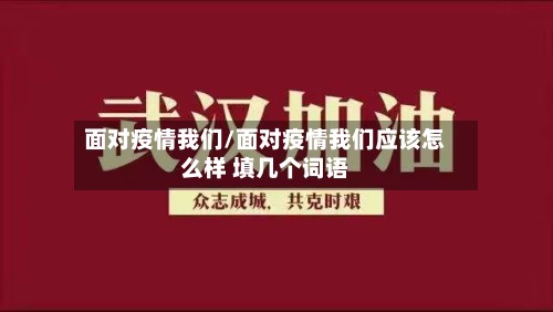 面对疫情我们/面对疫情我们应该怎么样 填几个词语-第2张图片