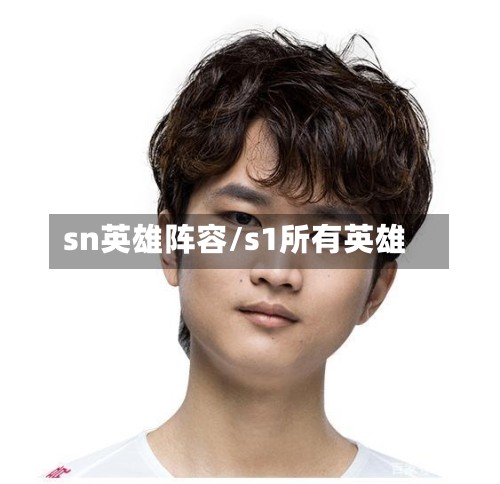 sn英雄阵容/s1所有英雄-第2张图片