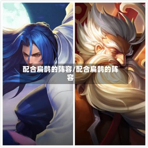 配合扁鹊的阵容/配合扁鹊的阵容-第2张图片