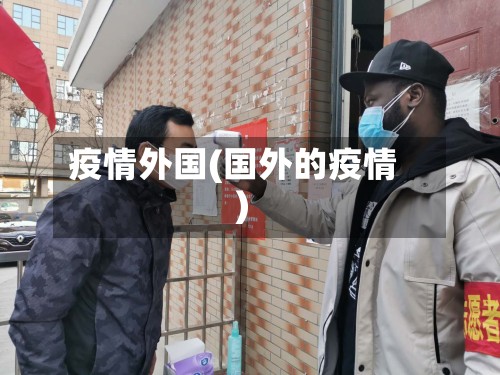 疫情外国(国外的疫情)-第2张图片