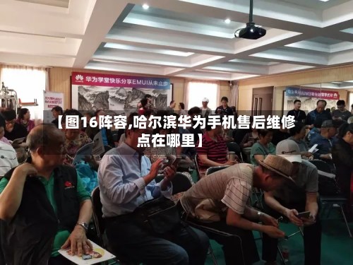 【图16阵容,哈尔滨华为手机售后维修点在哪里】