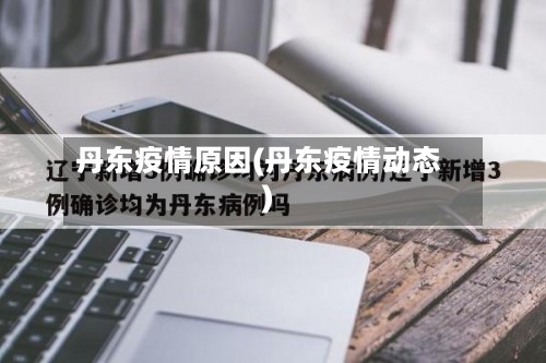丹东疫情原因(丹东疫情动态)-第3张图片