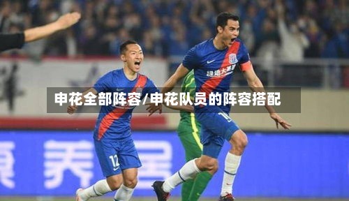 申花全部阵容/申花队员的阵容搭配