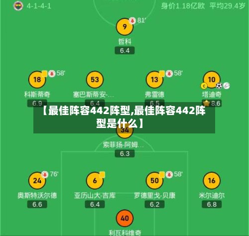 【最佳阵容442阵型,最佳阵容442阵型是什么】