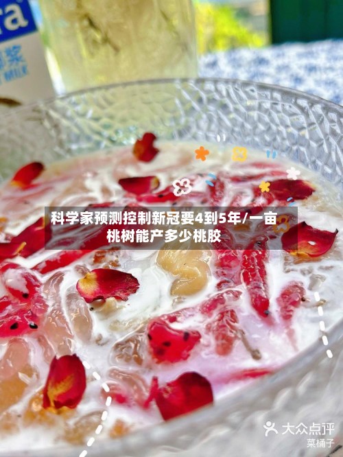 科学家预测控制新冠要4到5年/一亩桃树能产多少桃胶