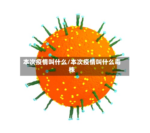 本次疫情叫什么/本次疫情叫什么毒株-第2张图片