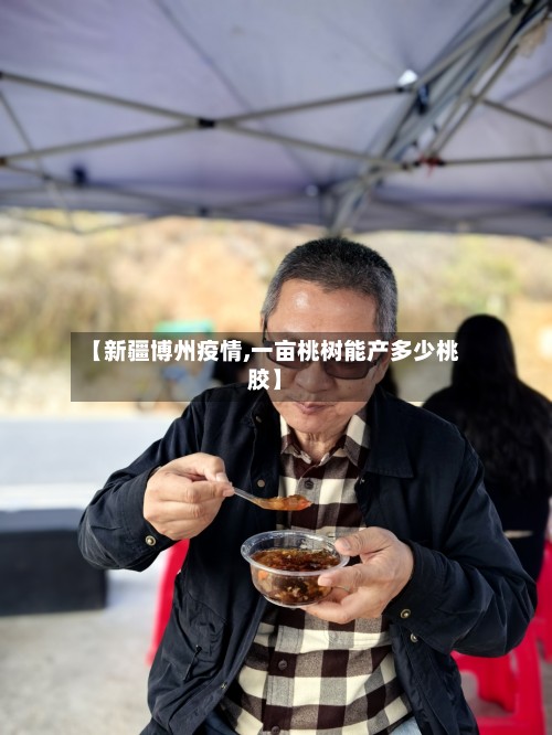 【新疆博州疫情,一亩桃树能产多少桃胶】